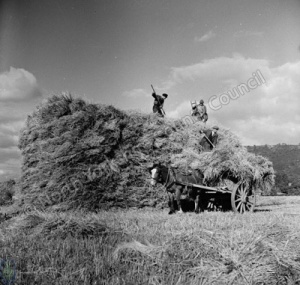 Harvesting, Stokesley